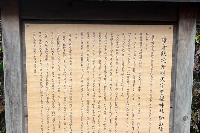 Chair Seat Guaranteed SUMO Practice +Photo +Culture Option - Chair-seat sumo practice in Tokyo: what makes this ticket worth it
