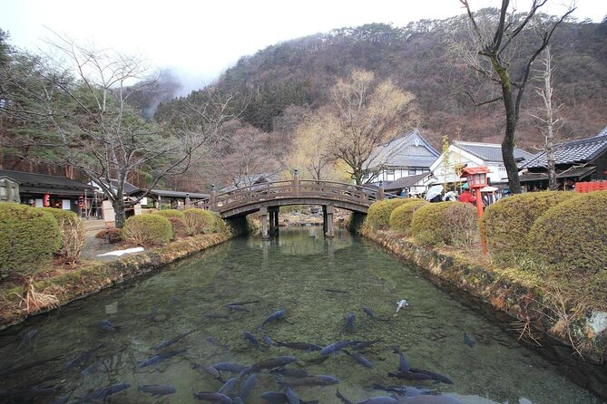 Chartered Private Tour - Tokyo to Nikko, Toshogu, Edo Wonderland - Ropeway views, Kegon Falls, and Lake Chuzenji