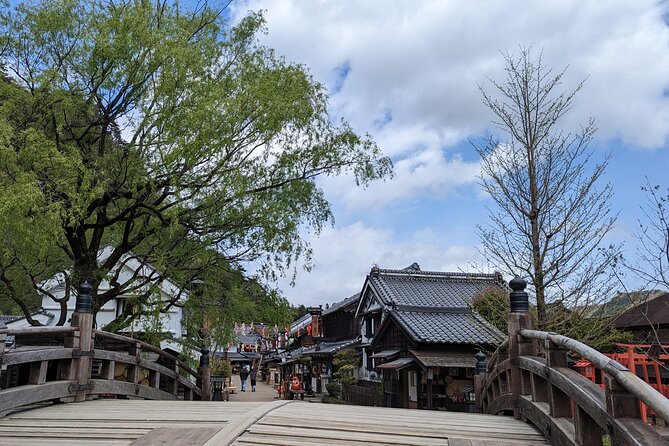 Chartered Private Tour - Tokyo to Nikko, Toshogu, Edo Wonderland - Toshogu Shrine: the star, and why timing matters