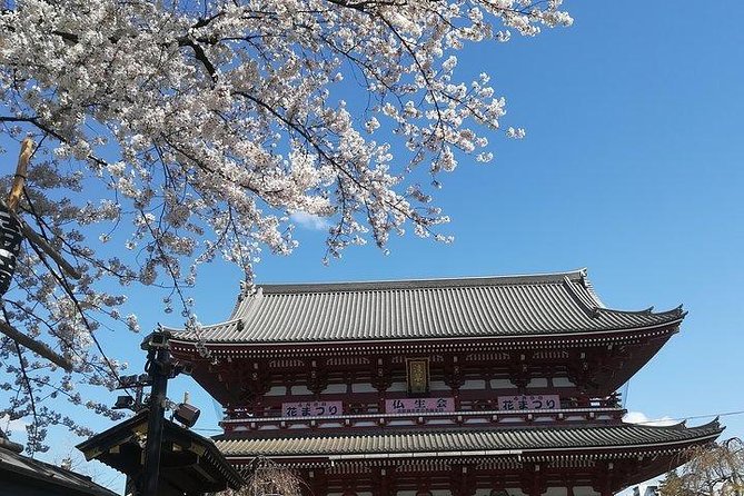 Cherry Blossom Highlights, Asakusa, Ueno, Imperial Palace Garden - Ueno Park: a flower walk with history-adjacent landmarks