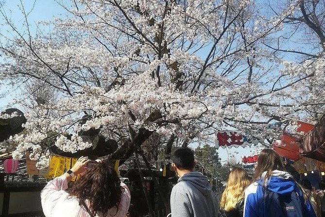 Cherry Blossom Highlights, Asakusa, Ueno, Imperial Palace Garden - Getting around with a guide: the secret sauce