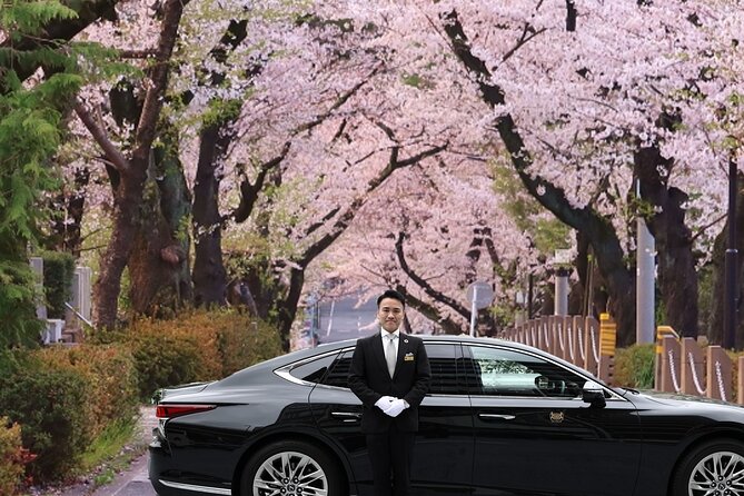 Cherry Blossom Private Tour - Key highlights you will feel from the first hour