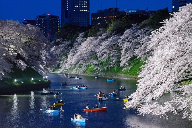 Cherry Blossom Private Tour - Who This Tour Fits Best (And Who Might Not Love It)