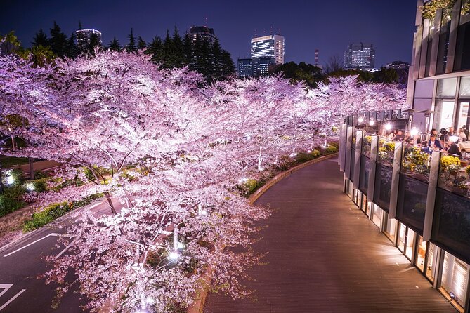 Cherry Blossom Private Tour - How the 3 to 5 Hour Route Actually Works