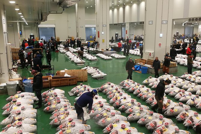 Complete Tuna Auction & Toyosu Fish Market Tour - Key things that make this tour work