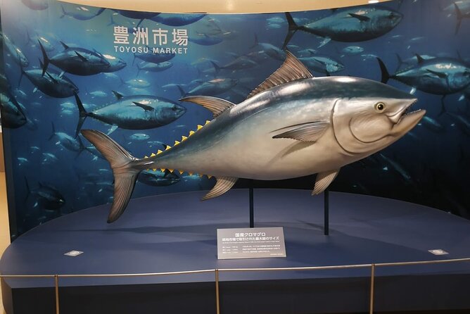 Complete Tuna Auction & Toyosu Fish Market Tour - The 4:30 am reality check: pickup, taxis, and where to meet