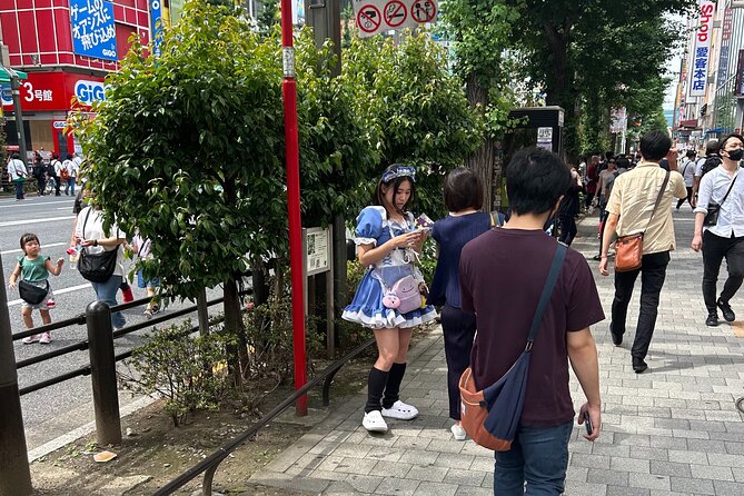 Crazy about Anime! Private Full Day Tokyo Manga Anime Tour by Chartered Vehicle - Nakano Broadway: Manga, Idol Figures, and Toy Hunting Time