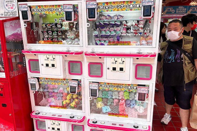 Crazy about Anime! Private Full Day Tokyo Manga Anime Tour by Chartered Vehicle - Pokémon Mega Center Tokyo: The Stop Fans Plan Around