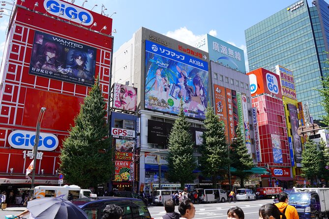 Create Your Akihabara Tour! Anime, Games & Local Tips - Should you book Create Your Akihabara Tour! Anime, Games & Local Tips?