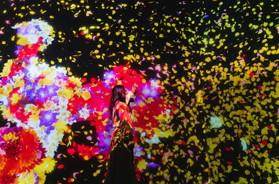 Crowd-Free Tokyo : teamLab, Roppongi Hills Views & NACT - Why Roppongi is the perfect place for modern Tokyo art