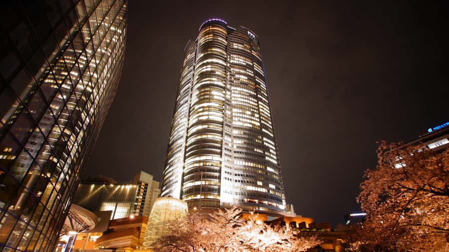 Crowd-Free Tokyo : teamLab, Roppongi Hills Views & NACT - teamLab digital art: the multi-sensory finish you will remember