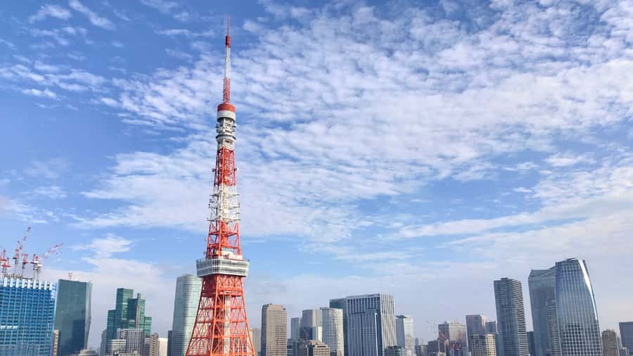 Crowd-Free Tokyo : teamLab, Roppongi Hills Views & NACT - Guide energy and how you actually benefit from their explanations