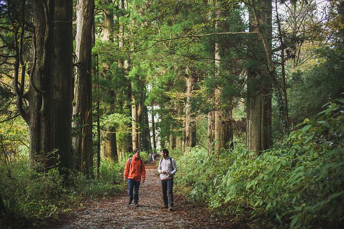 Custom Private Tour in Hakone with a Certified Local Guide - Price and what $300 per person buys you in Hakone