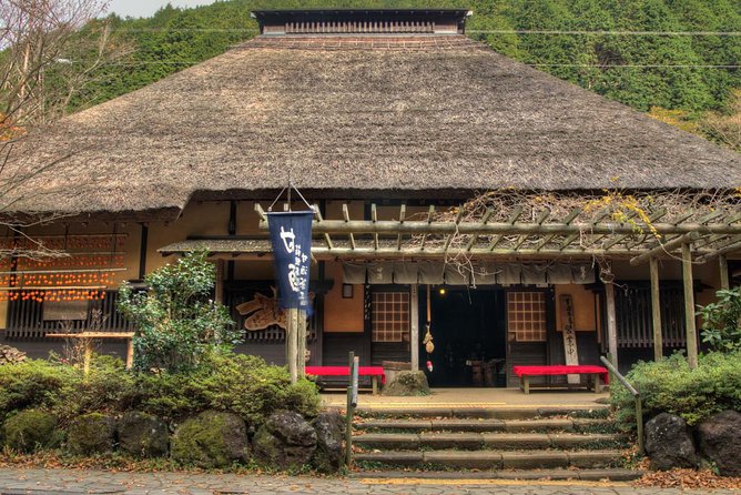 Custom Private Tour in Hakone with a Certified Local Guide - Optional Hakone Ropeway: Mt Fuji and Lake Ashi views, if the sky cooperates