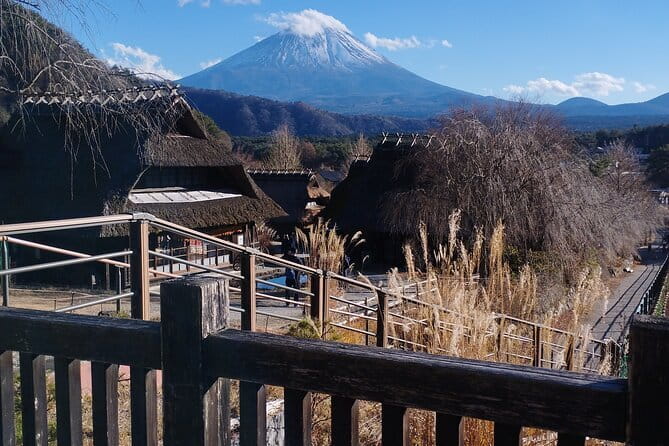 Customisable Mt.Fuji Private Day Trip, English Speaking Driver - Key Points at a Glance