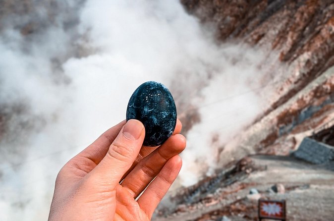Customizable Private Full Day Hakone Tour by car - The Hakone Ropeway to Owakudani: Volcanic Steam and Black Eggs