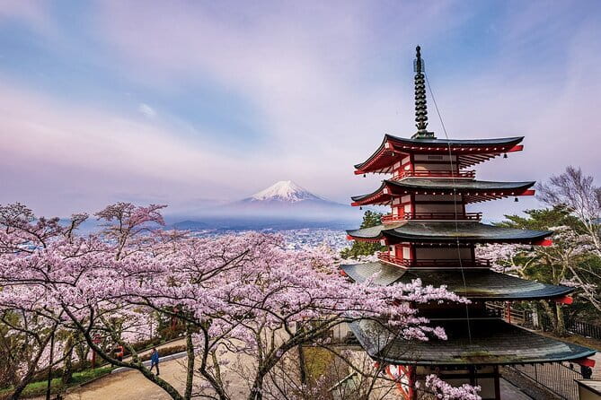 Customizable Private Tokyo Trip with an English Speaking Driver - Odaiba photo mission: Gundam, Rainbow Bridge, and waterfront scenes