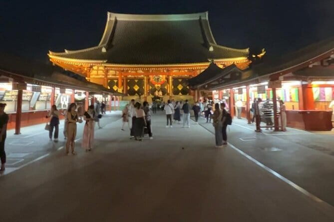 Customizable Private Tokyo Trip with an English Speaking Driver - Your day, your order: how customization actually helps