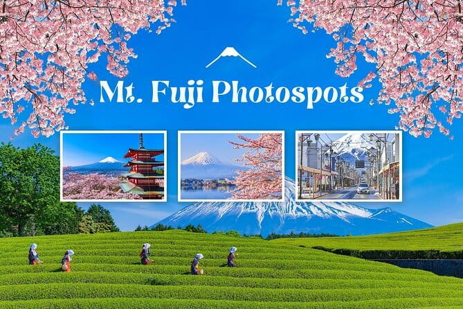 Customizable Tokyo Tour - Food Without the Tour Guesswork: Planning Since Lunch Is Not Included