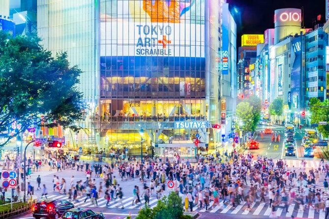 Day Private City Tour of Tokyo with English speaking driver - Price and logistics: where the real value comes from