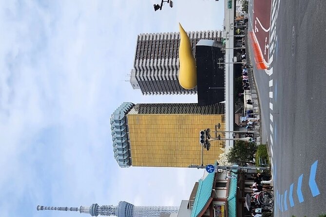 Day Private City Tour of Tokyo with English speaking driver - How the driver experience shapes your day