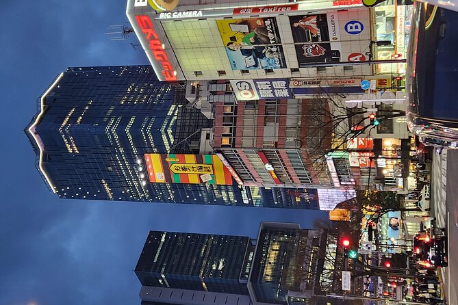 Day Private City Tour of Tokyo with English speaking driver - Should you book this Tokyo private city tour?