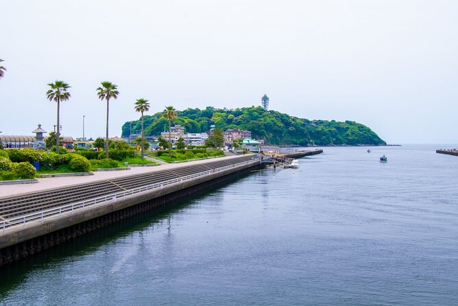Day Trip to Kamakura & Enoshima: Shrines, Seaside, Temples & Tea - The Guide Factor: Why Names Like Jeff, Jade, Naoto, and Beth Show Up
