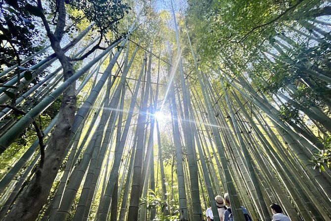 Day Trip to Kamakura & Enoshima: Shrines, Seaside, Temples & Tea - Price and Value: What $167.36 Really Buys You
