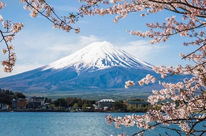 Day Trip To Mount Fuji and Hakone from Tokyo with English Guide - Mt. Fuji 5th Station: The High-Altitude Photo and Reality Moment