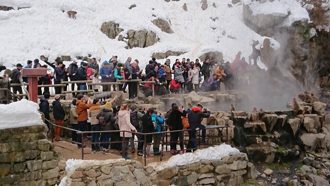 Day Trip to See the Snow Monkeys from Shinjuku with Lunch Buffet - Suzaka stop: a warm-up break with a tour-used restaurant