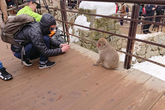 Day Trip to See the Snow Monkeys from Shinjuku with Lunch Buffet - Jigokudani Snow Monkey Park: your money stop, and your cold-weather test