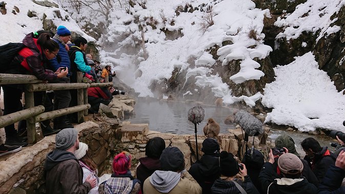 Day Trip to See the Snow Monkeys from Shinjuku with Lunch Buffet - Lunch buffet with 130 food choices: how to use it well