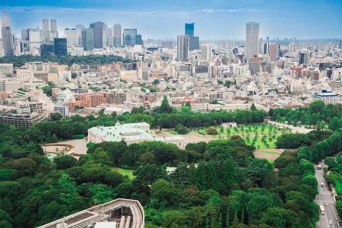 Discover Japanese Politics Over a Coffee in Tokyo - Coffee, Questions, and English Interpretation That Actually Helps