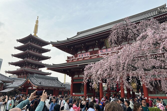 Discover the hidden gems of Tokyo:Private Tour with a Local Guide - Skytree views and Ueno area downtime: when you need a breather
