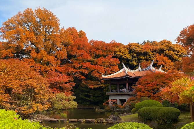Discover the History of Shinjuku Gyoen – Private Walking Tour - Key highlights you will actually feel in the park