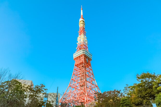 Discover Tokyo, Private Customized Tour with Expert Guides - Meiji Jingu Shrine: Green Calm and a Major Tokyo Landmark