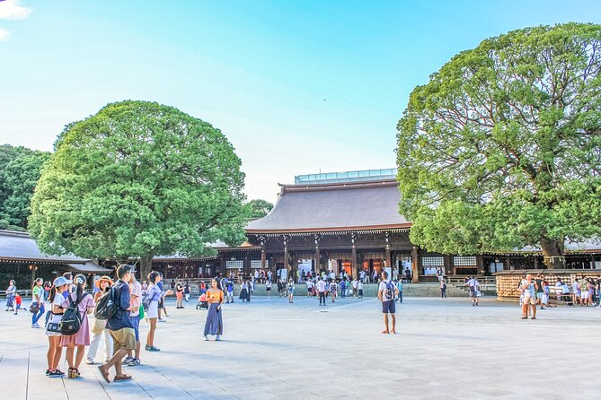 Discover Tokyo, Private Customized Tour with Expert Guides - Senso-ji Temple in Asakusa: The Classic Red Lantern Moment