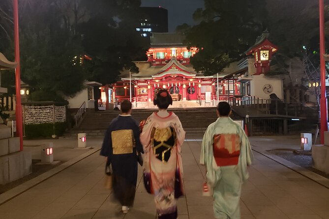Drinks with Geisha - Price and Value: Is $249.05 a Good Deal?