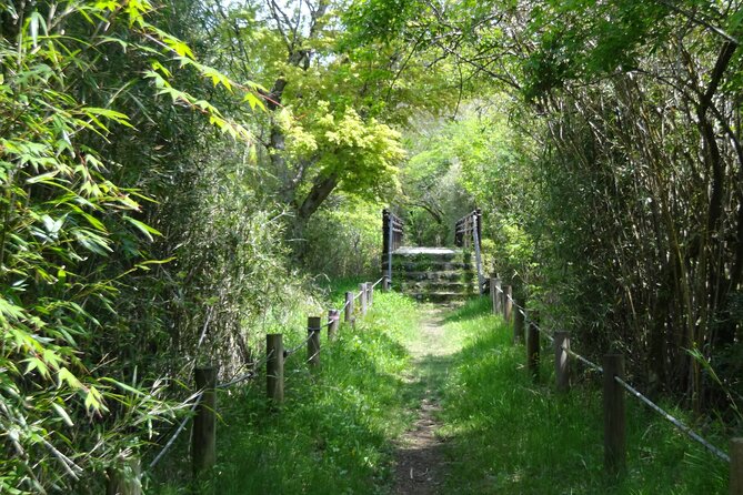 Easygoing Nature Walk in Hakone Tour - How this easy Hakone nature walk works (and why it feels special)