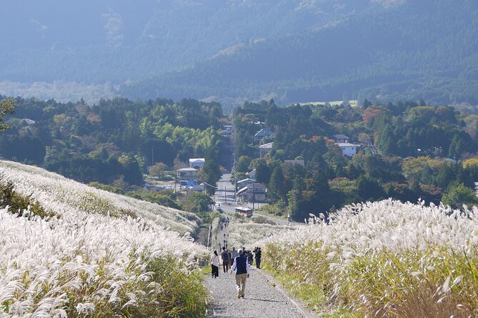 Easygoing Nature Walk in Hakone Tour - Hakone Visitor Center: the English orientation that actually helps