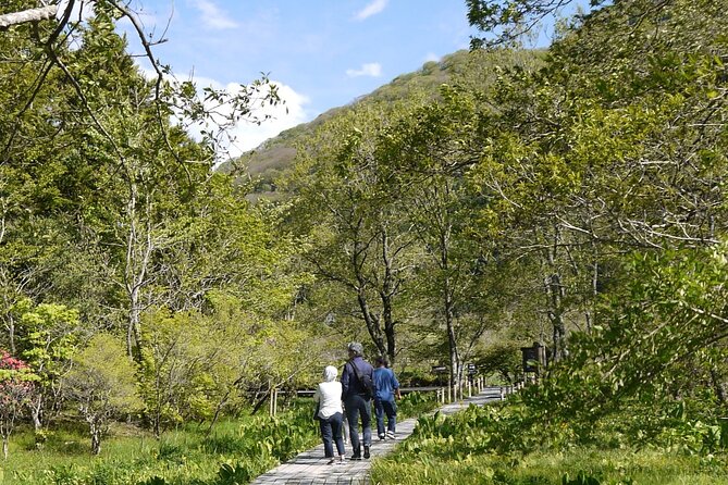 Easygoing Nature Walk in Hakone Tour - Price and value: why $39.19 can be worth it