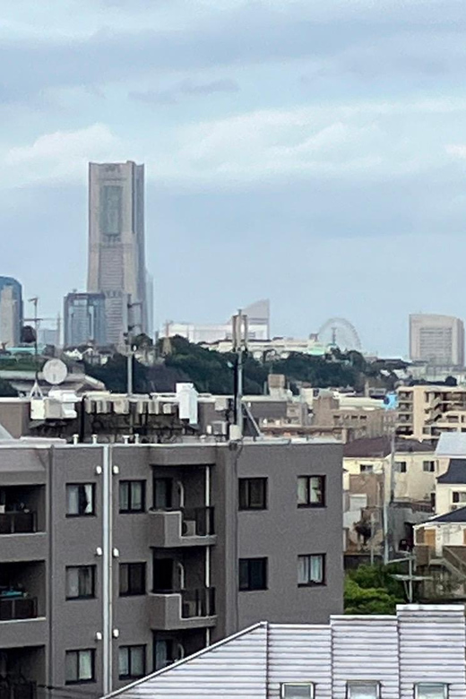 Eat like a local in Yokohama - with a Local Expert Guide! - Pickup, private-group comfort, and what 4 hours really feels like