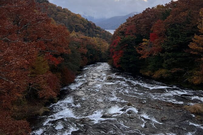 English-speaking guided day tour of Nikko with a private vehicle - Why a private Nikko day trip makes sense from Tokyo