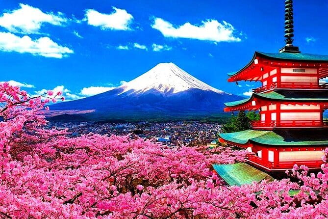 English-speaking guided day tour of Nikko with a private vehicle - Akechidaira observation area: the lookout, plus the ropeway fee