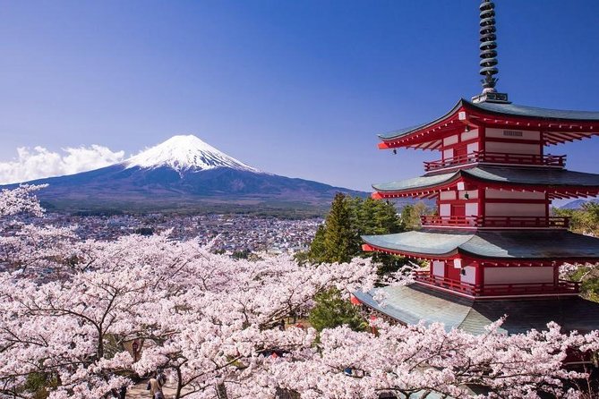 Enjoy Mt. Fuji View and free time shopping at Gotemba Outlets! - Key highlights at a glance