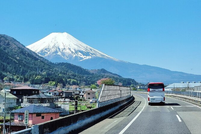 Enjoy Mt. Fuji View and free time shopping at Gotemba Outlets! - The practical appeal of a Mt. Fuji day trip from Shinjuku