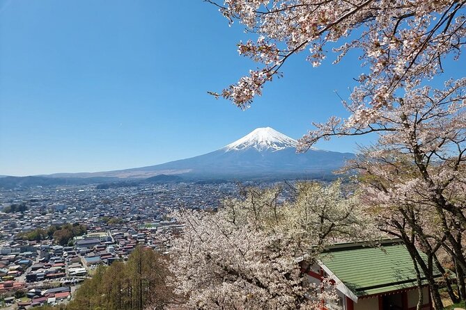 Enjoy Mt. Fuji View and free time shopping at Gotemba Outlets! - Mt. Fuji 5th Station: the photo payoff and the souvenir reality