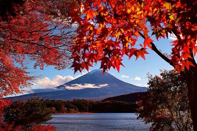 Enjoy Mt. Fuji View and free time shopping at Gotemba Outlets! - Gotemba Premium Outlets: shopping time with discounts, coupons, and timing