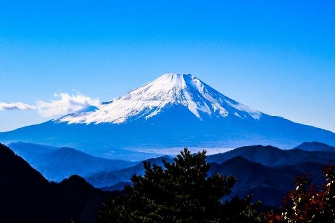 Enjoy Mt. Fuji View and free time shopping at Gotemba Outlets! - Arakurayama Sengen Shrine: cherry blossoms, big stairs, and famous angles
