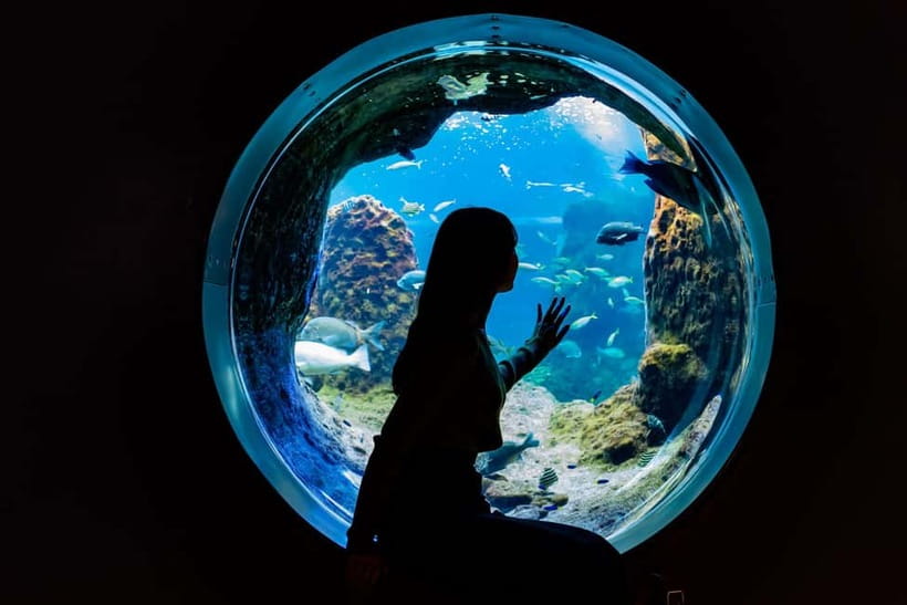 Enoshima Aquarium: Admission Ticket - Key things worth knowing before you go